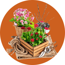 Home, Garden & Tools